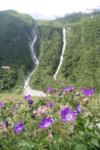 IMG_7911.JPG