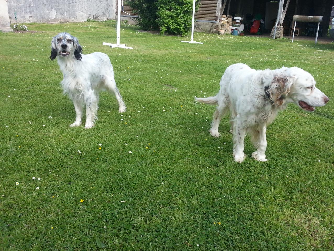 20150601_170554.jpg