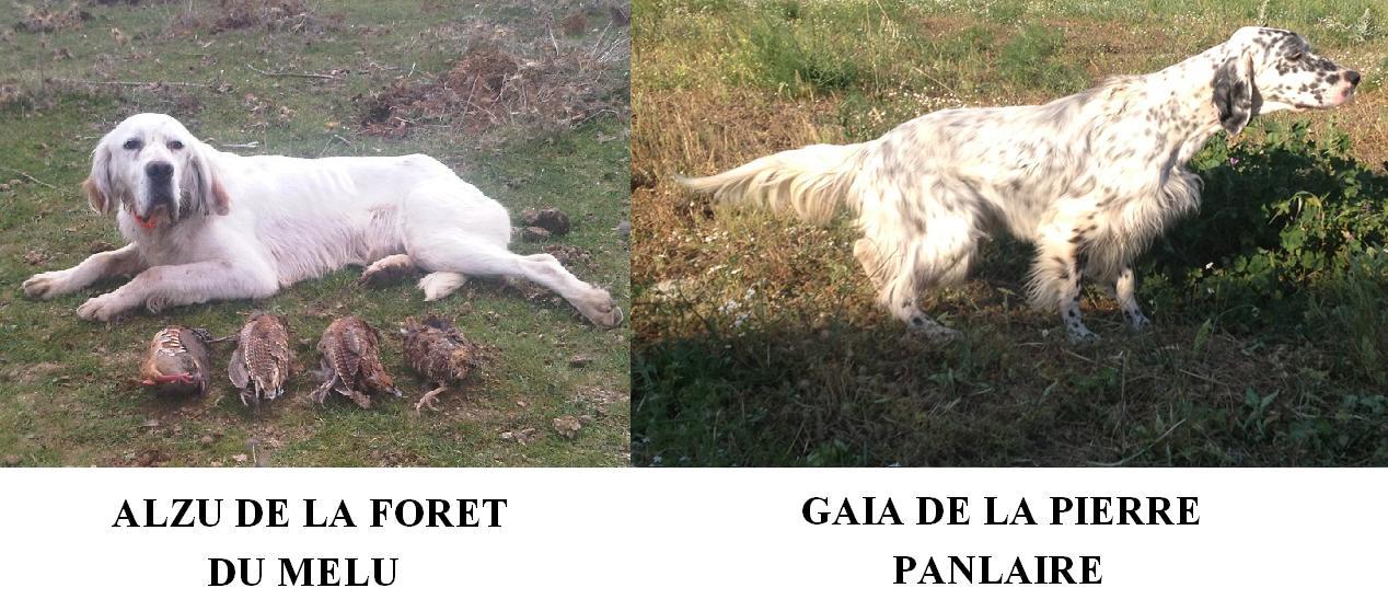 alzu+GAIA.JPG