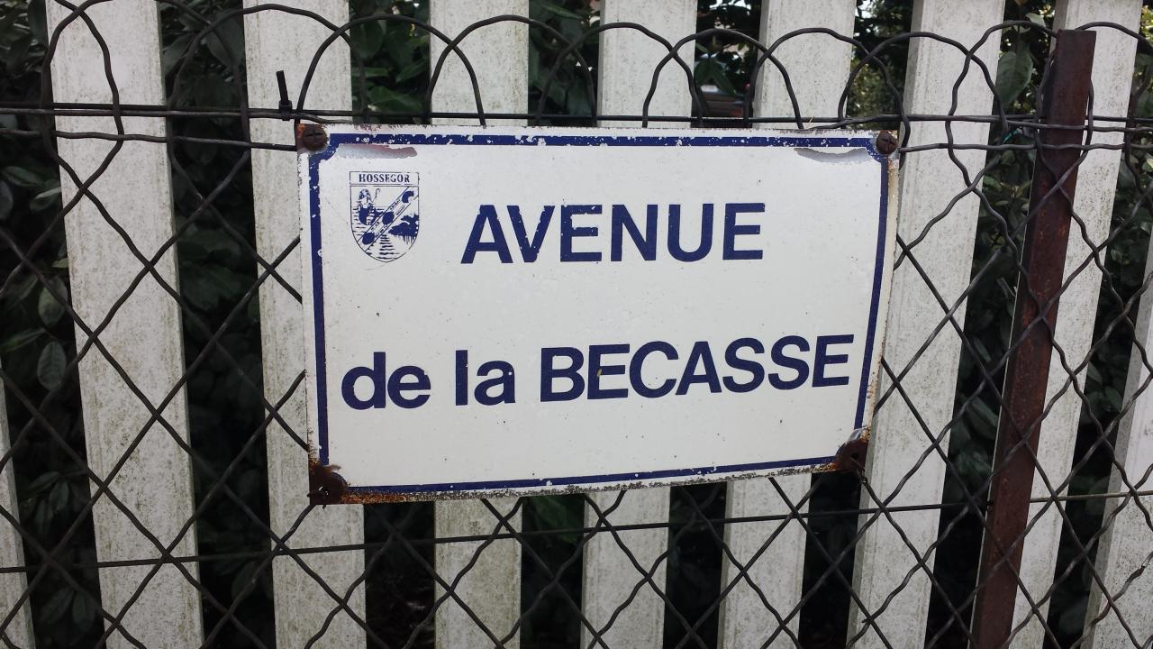 20150721_152756.jpg