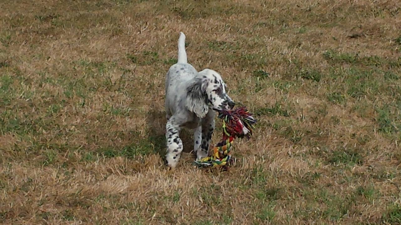 20150724_100209.jpg