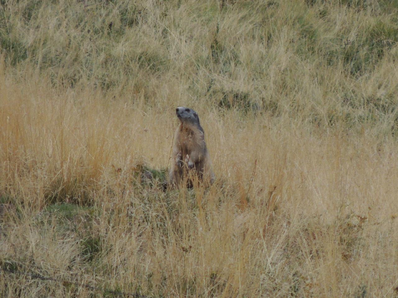 DSCN6620.JPG