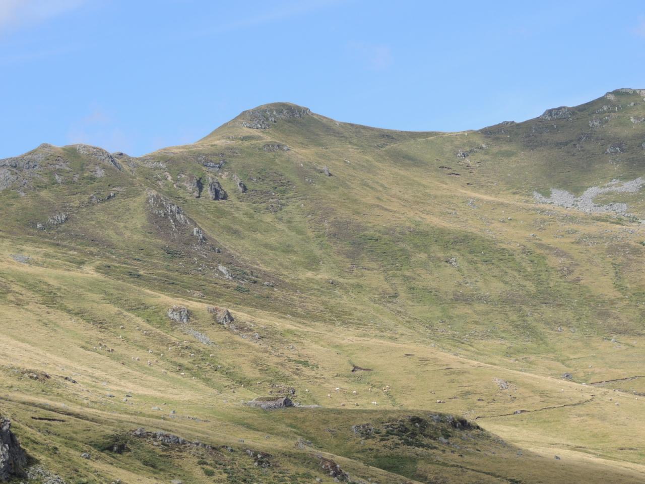 DSCN6613.JPG
