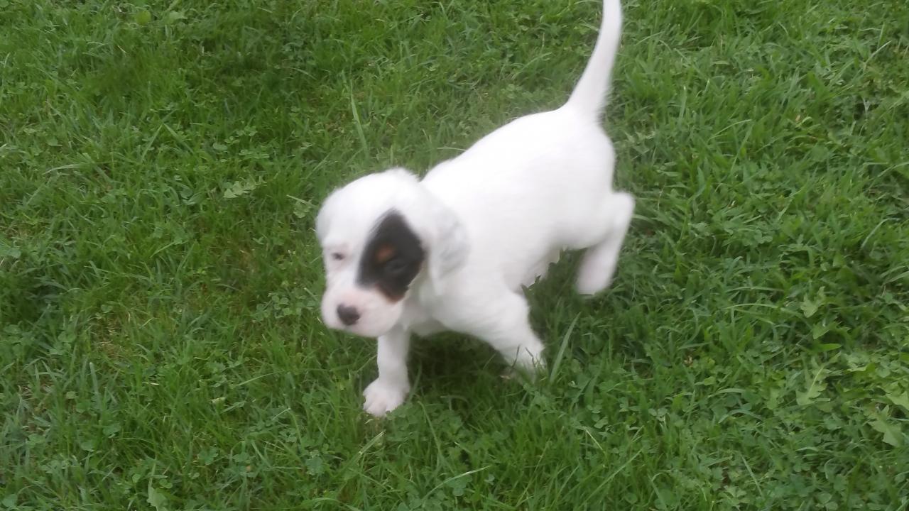 20150814_192132.jpg