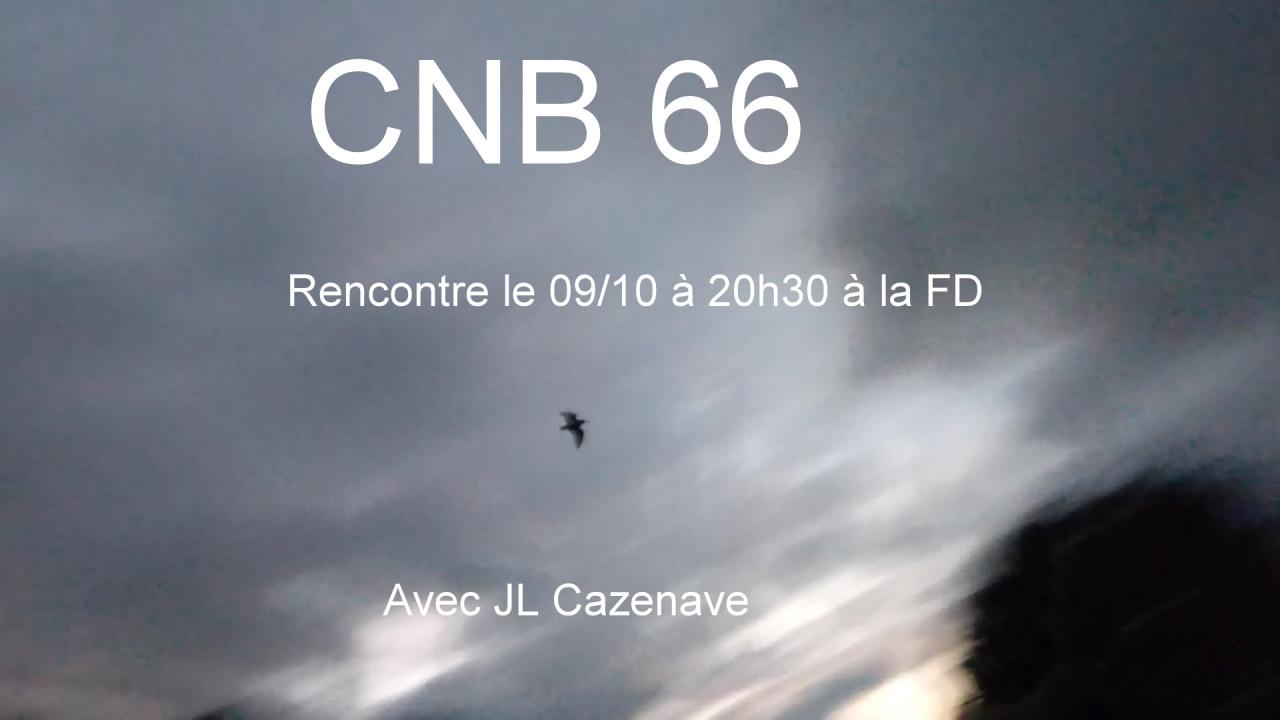 cnb 66 bécasse.jpg