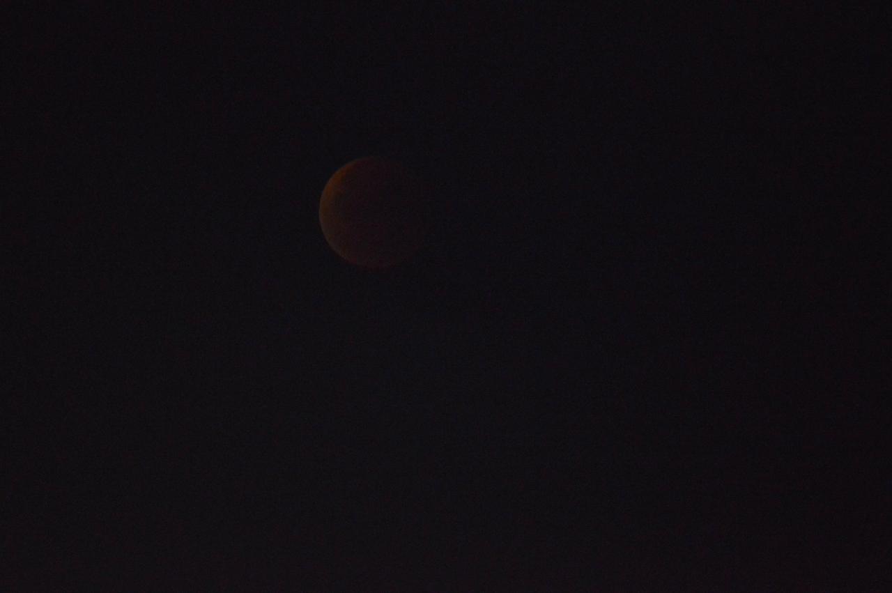 DSC_0036.JPG
