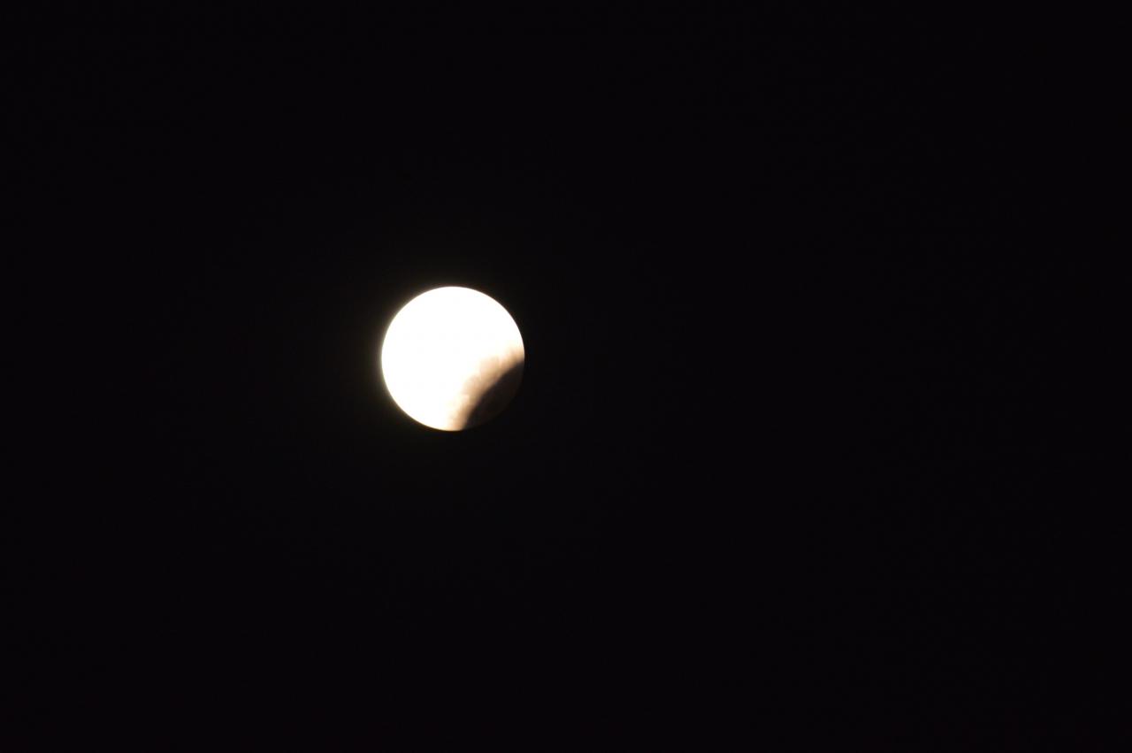 DSC_0048.JPG