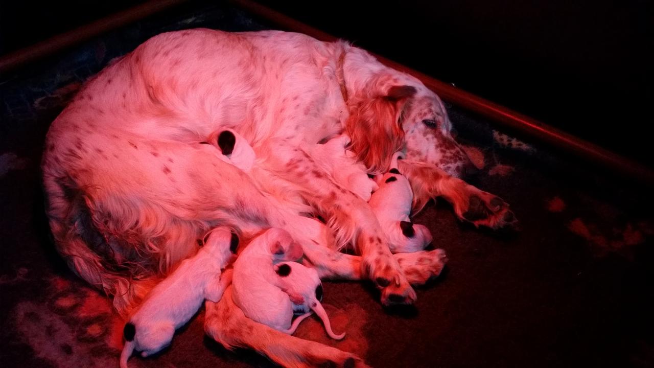 20151121_082933.jpg