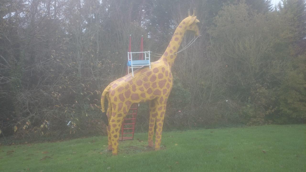 Décembre 2015 020.JPG