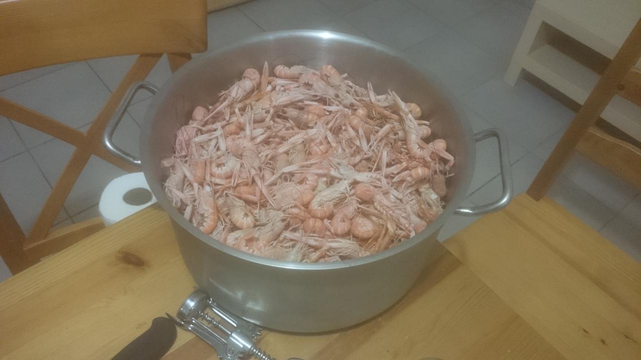 Décembre 2015 013.JPG
