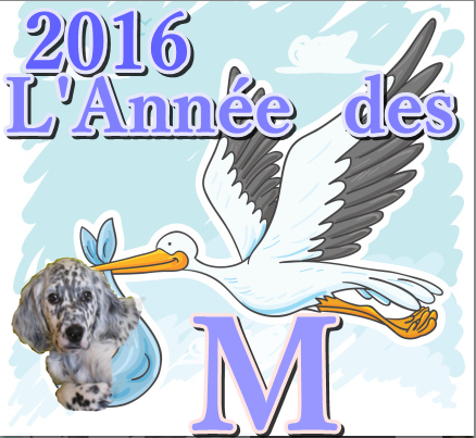 CIGOGNE ET CHIEN.PNG