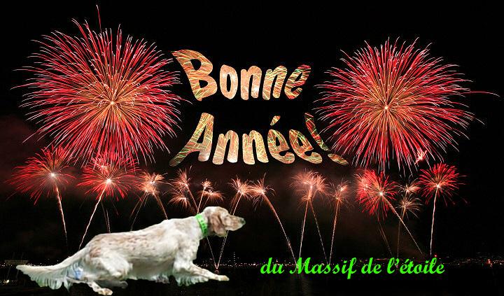 IM6EA_-carte-bonne-annee-feux-artifice3.jpg