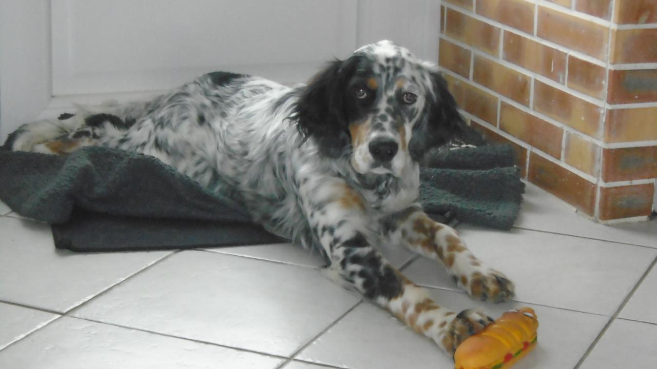 DSC00309.JPG