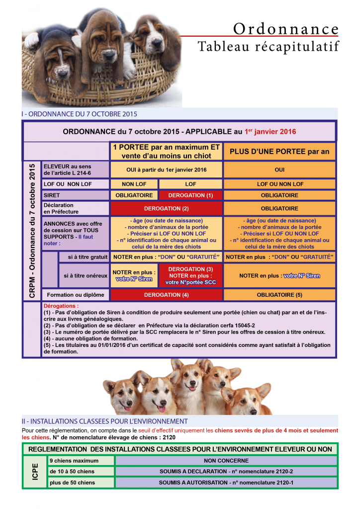 Article-législationV2-724x1024.png