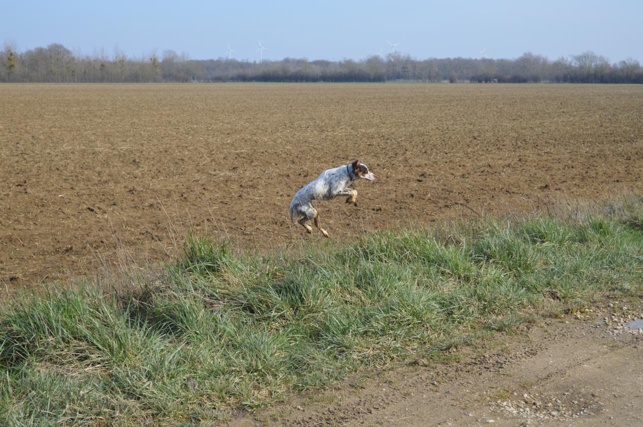 DSC_0225.JPG