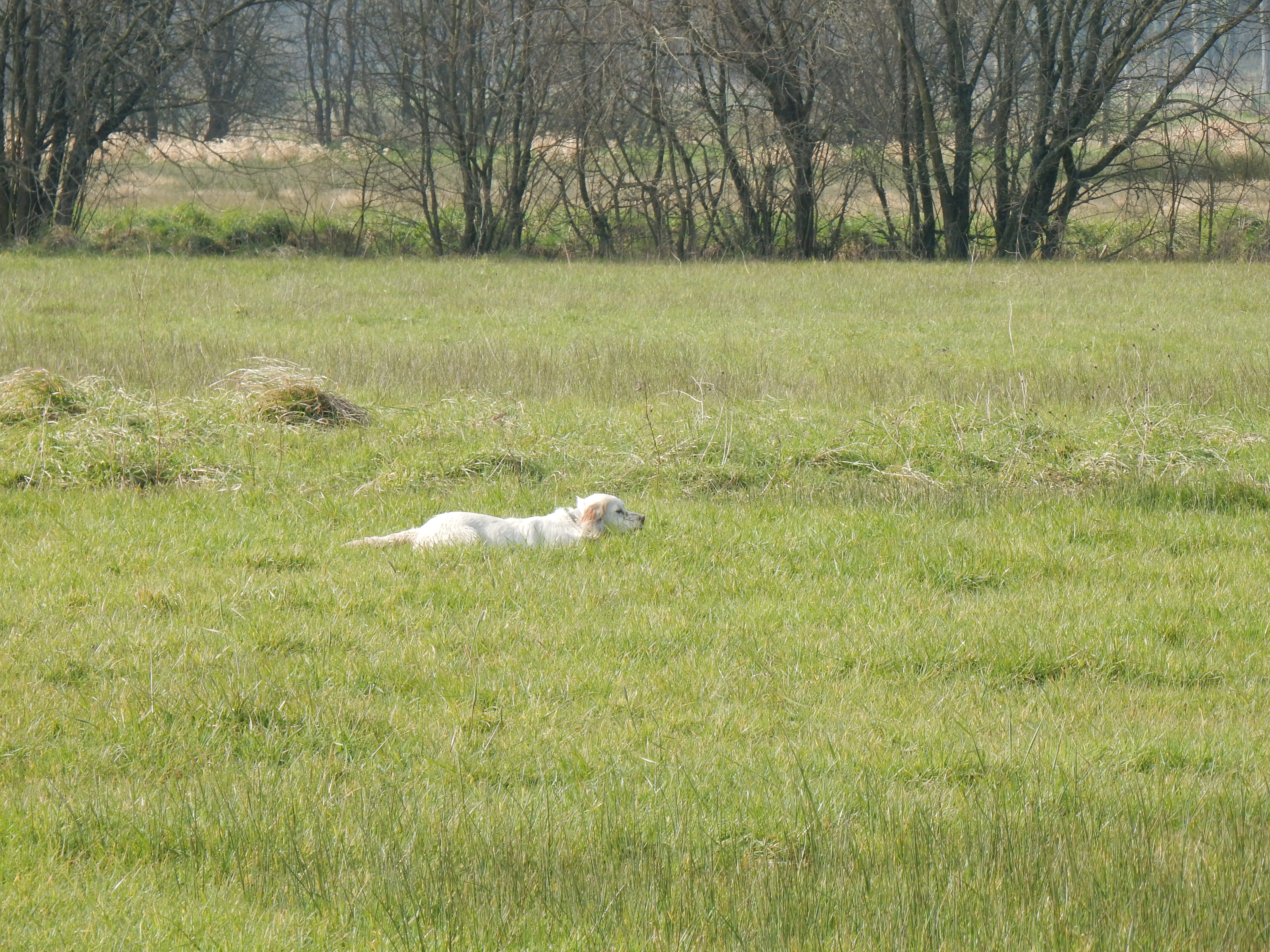 DSCN0628.JPG
