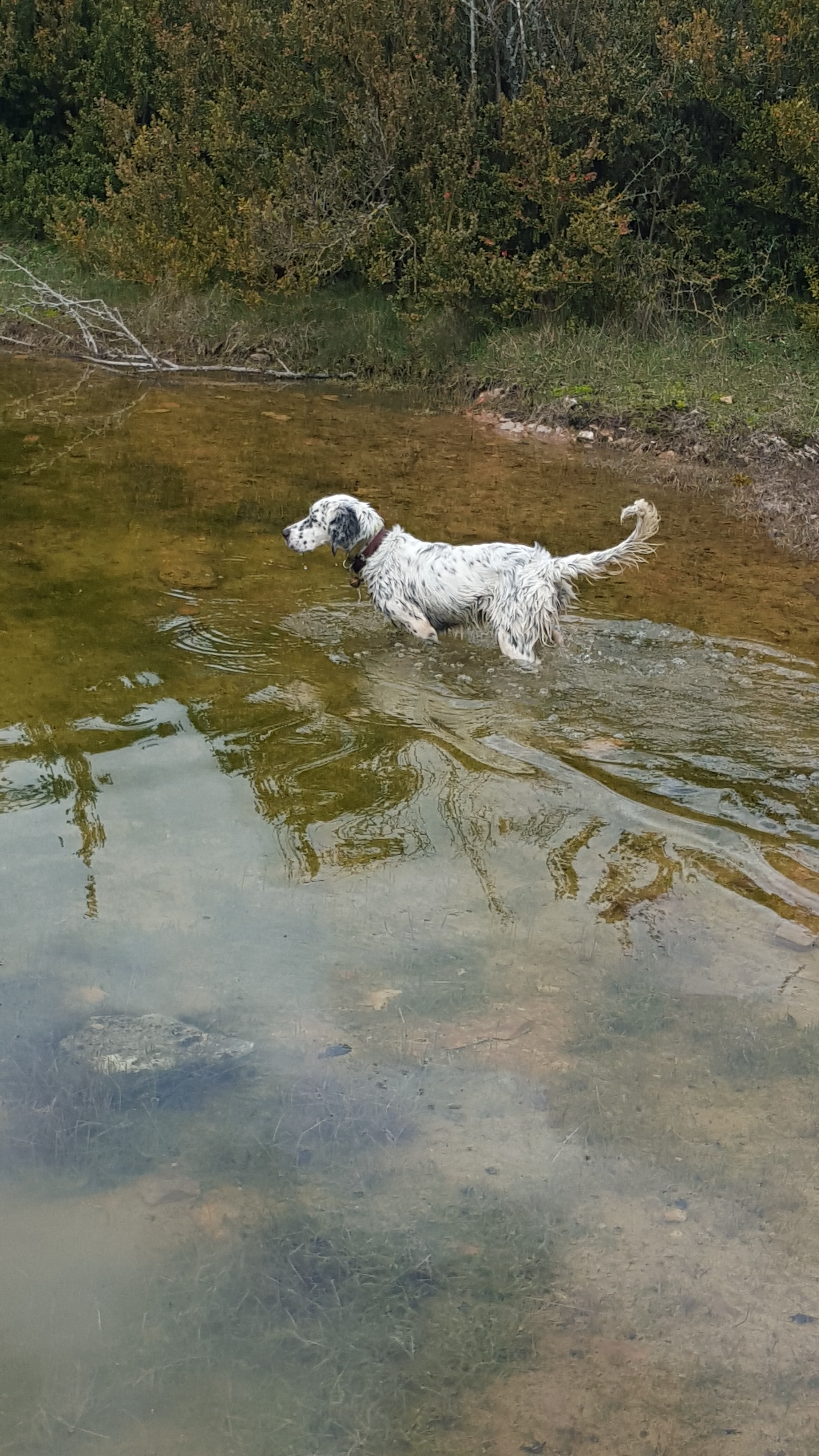 20160328_155714.jpg