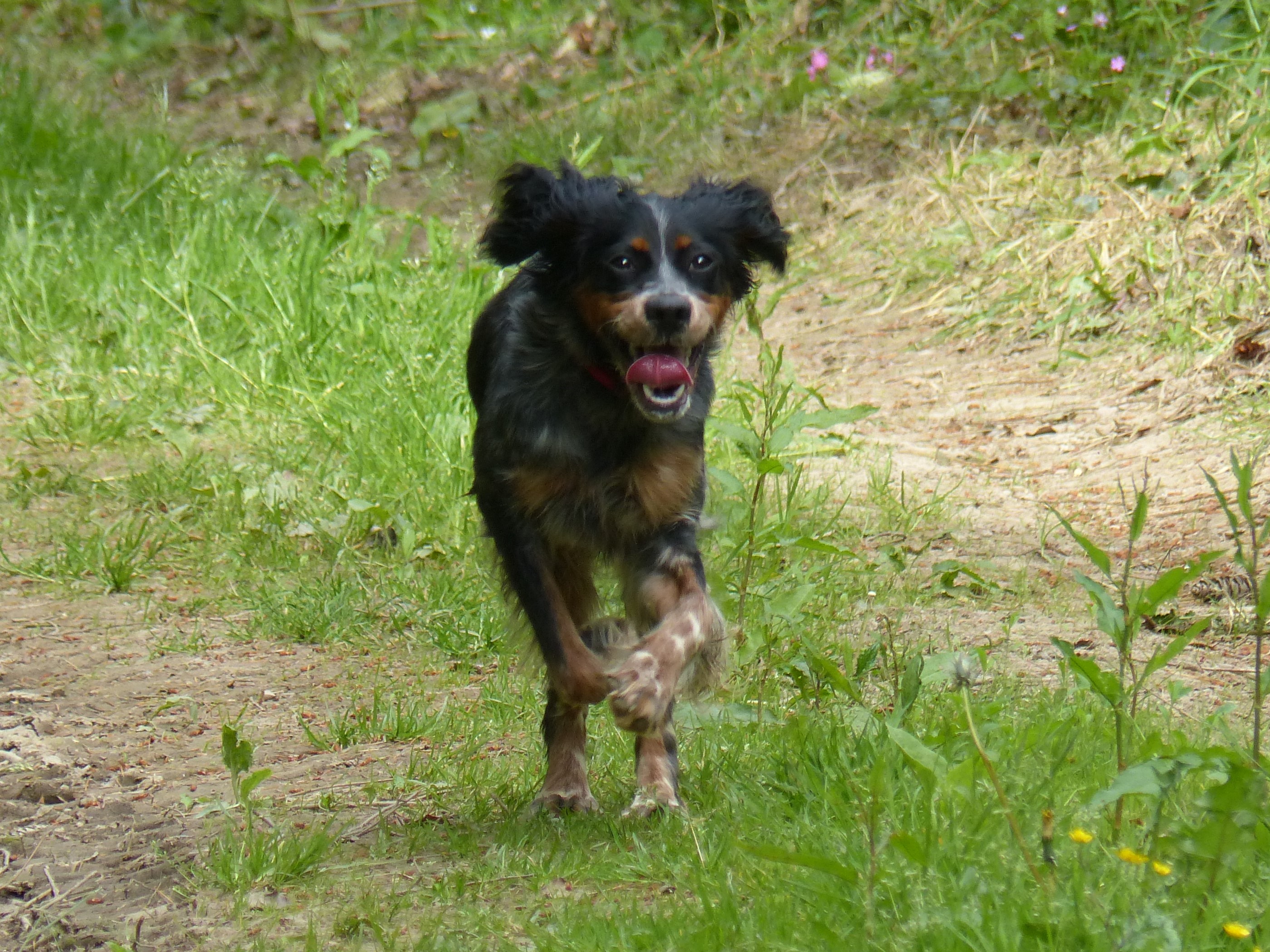 P1040151.JPG