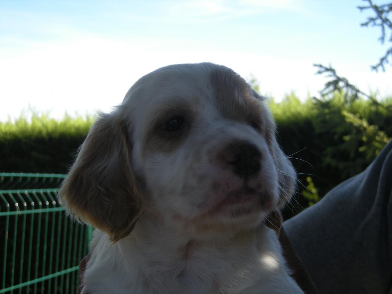 DSCN1738.JPG