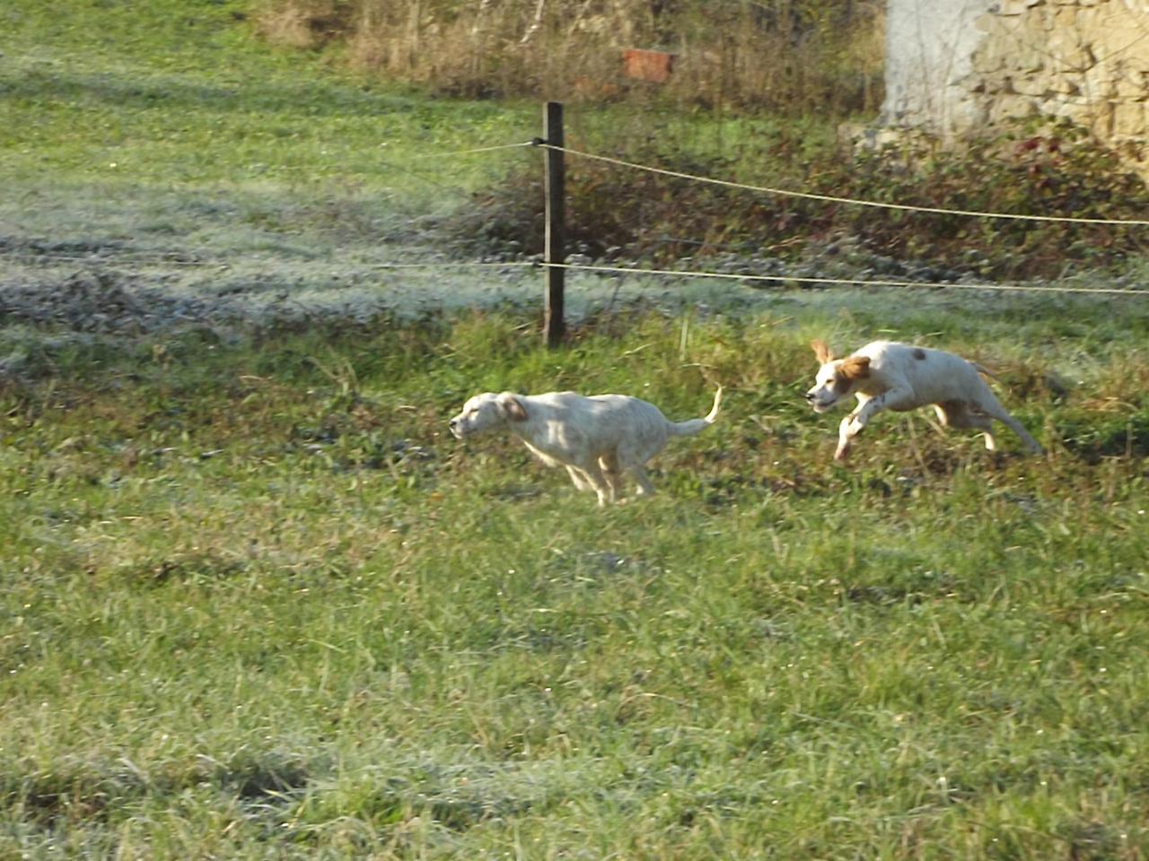 DSCF4476.JPG