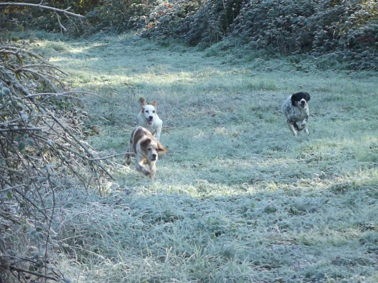 DSCF4504.JPG