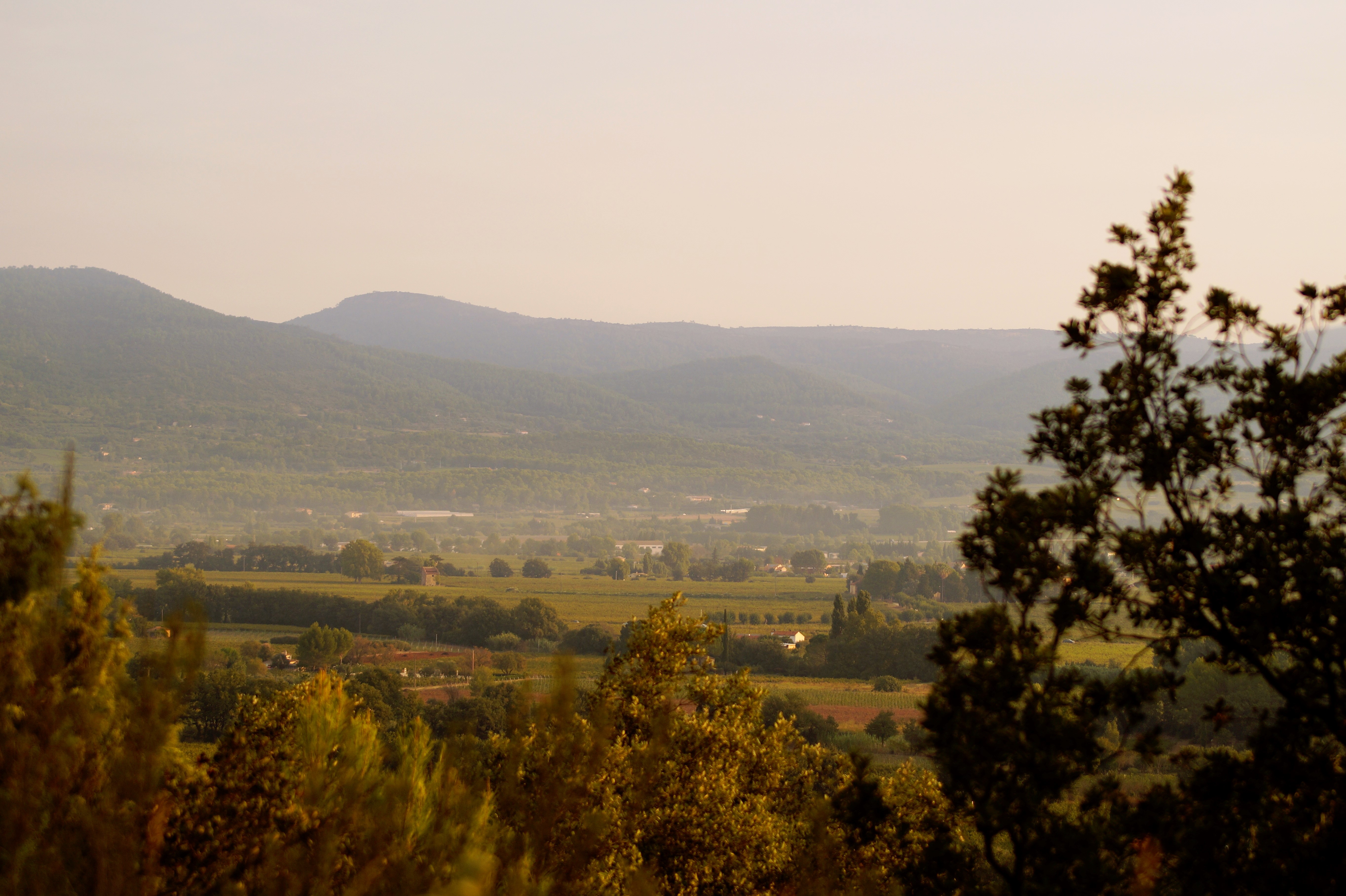 _DSC7837.JPG