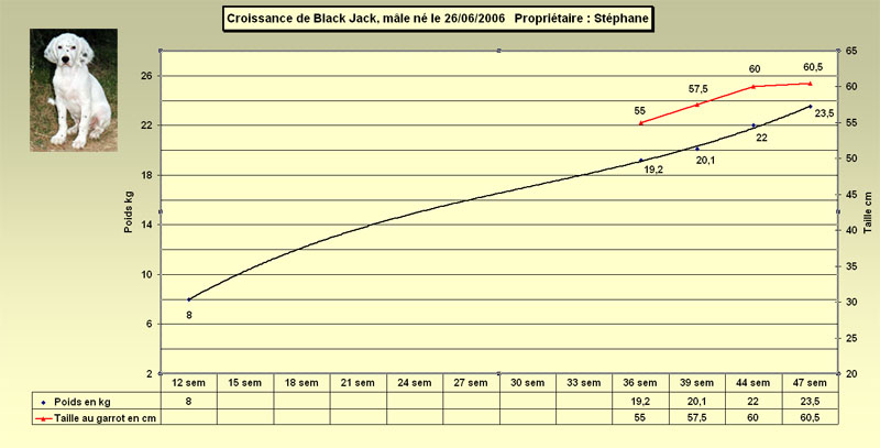 blackjackcourbe2.jpg