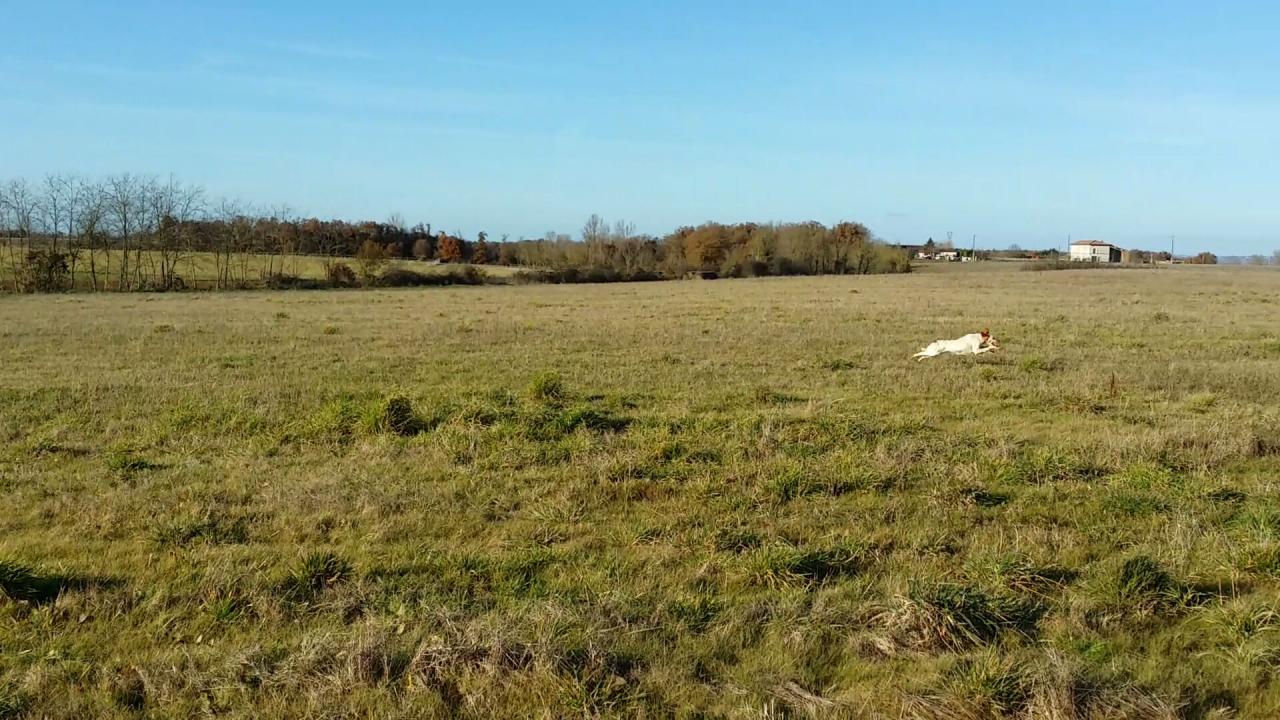 20131220_151718_6862.jpg