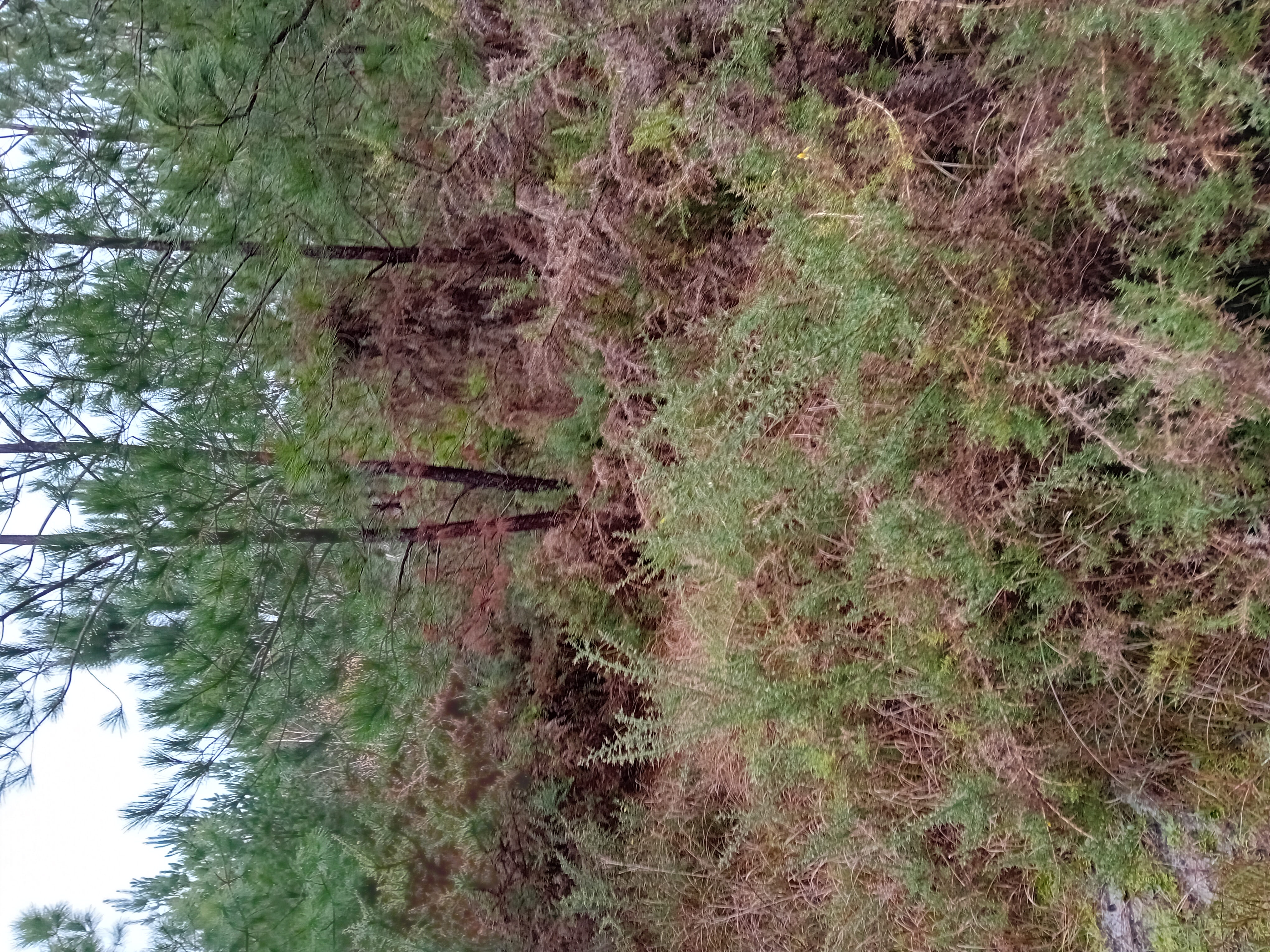 20231211_105326.jpg