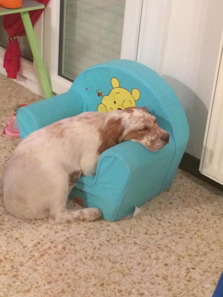 iz2.JPG