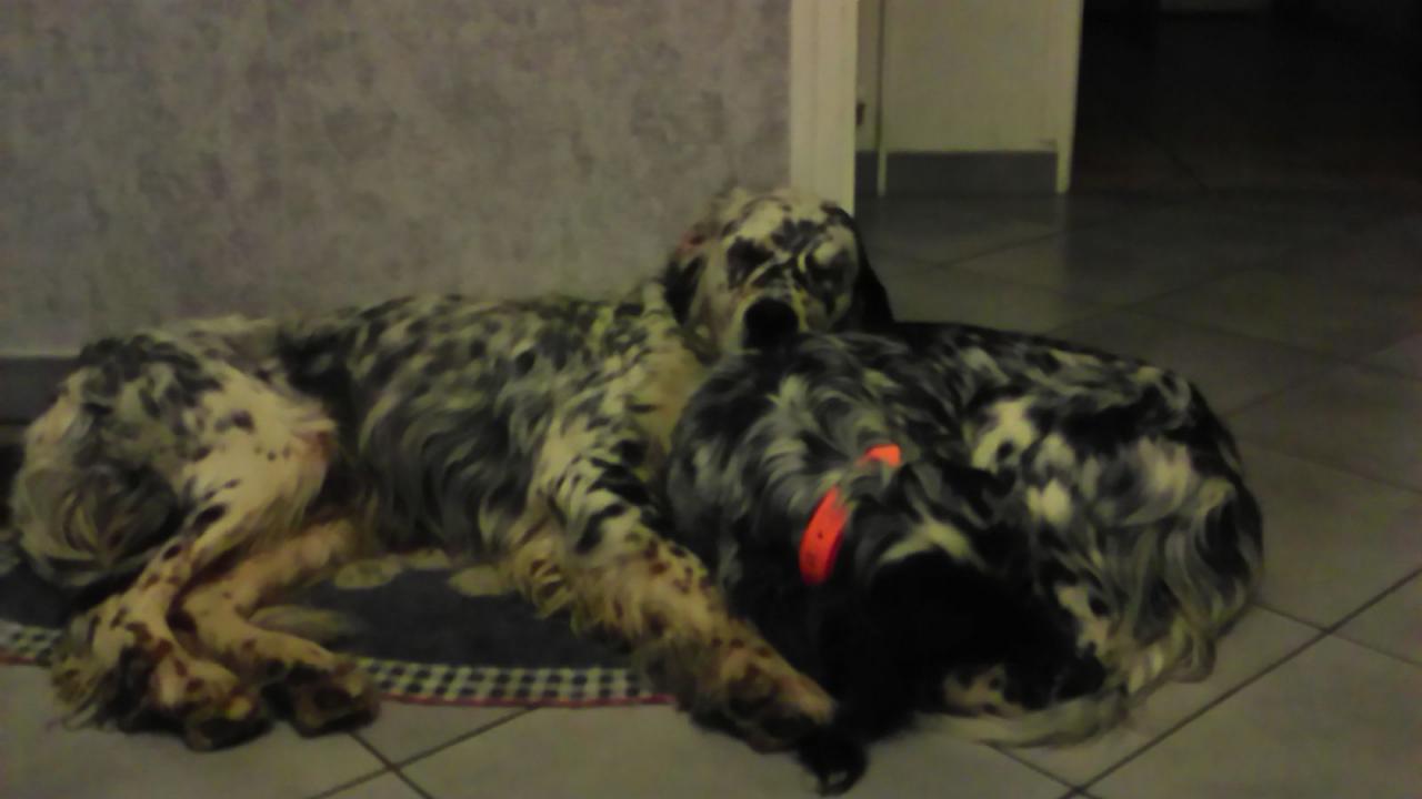 P_20140301_212641.jpg