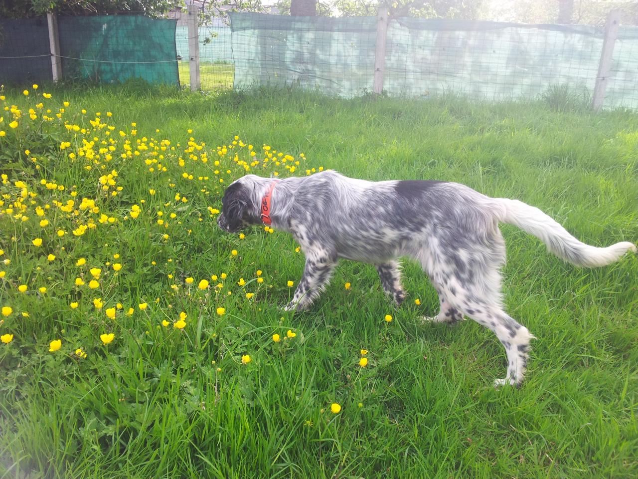 20140510_184933.jpg