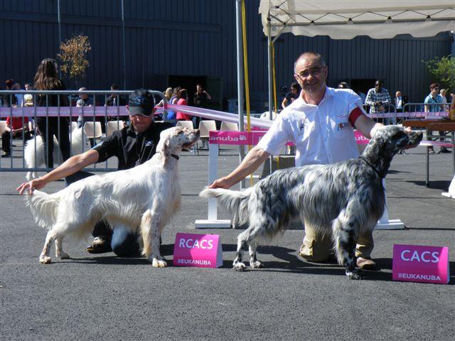 angers 2014 019.jpg