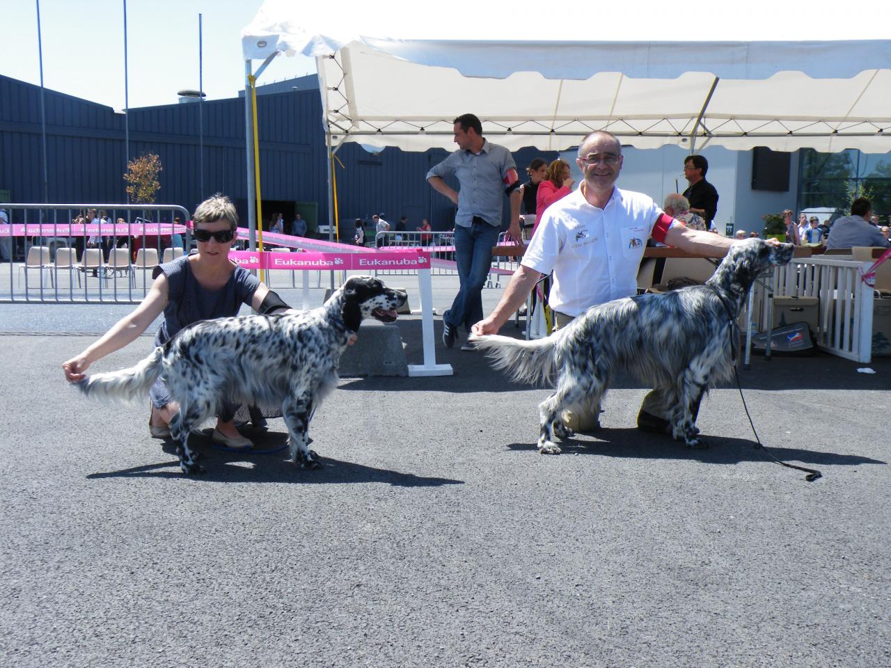 angers 2014 039.jpg