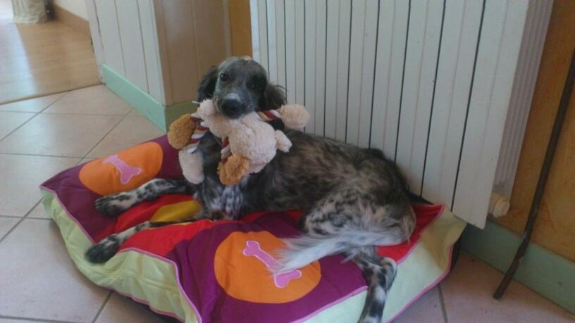 inya doudou.JPG