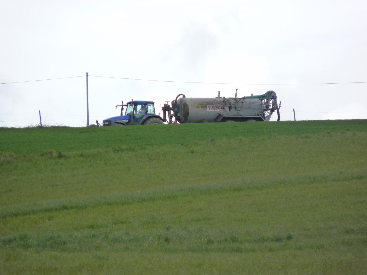 P1200026.JPG