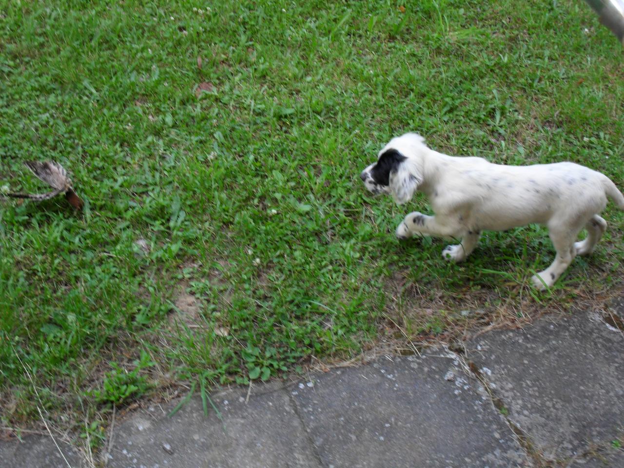 SAM_0390.JPG