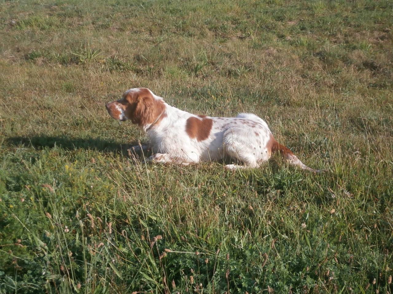 P9120001.JPG