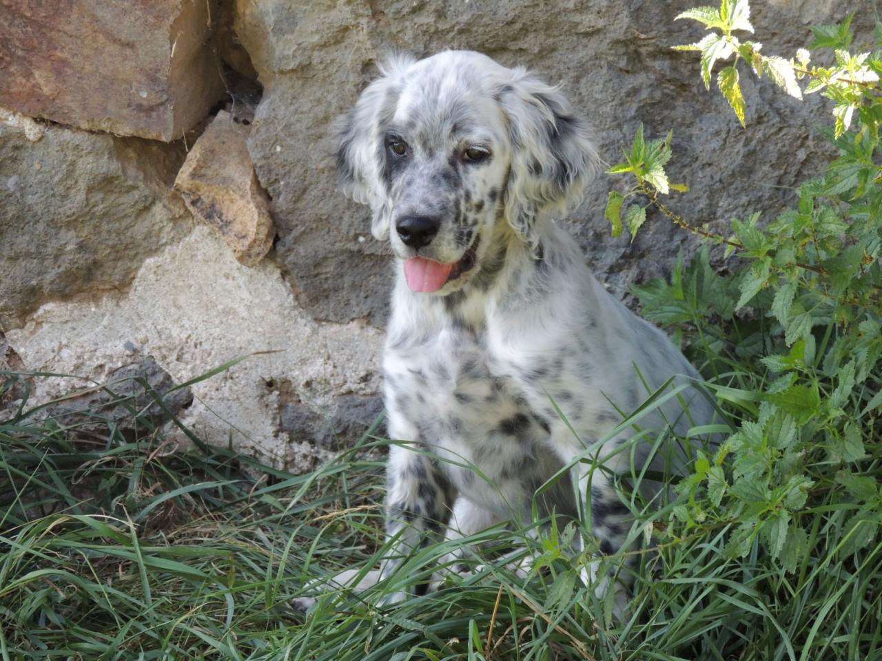 DSCN4448.JPG