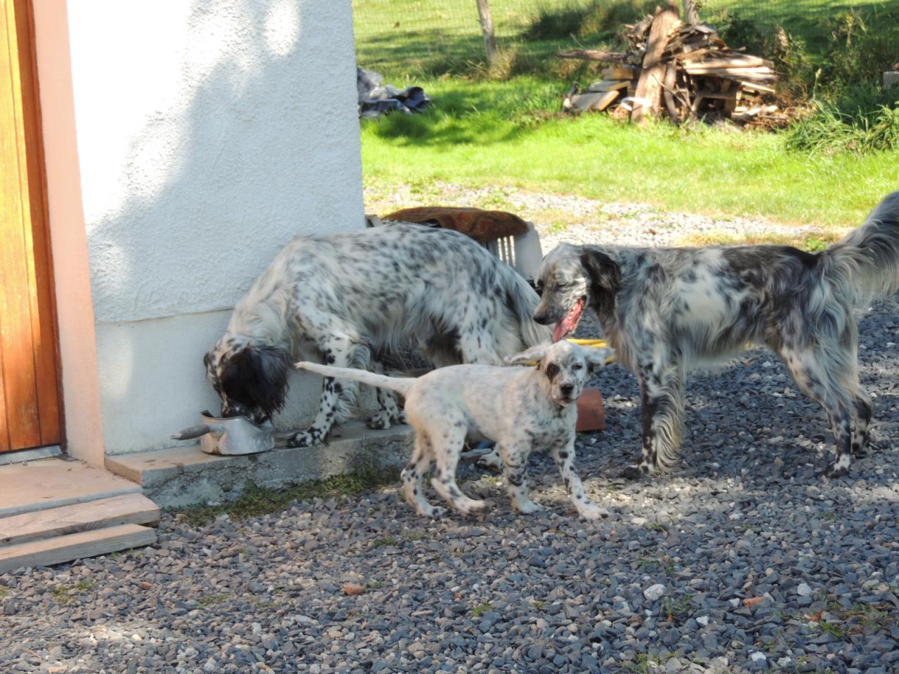 DSCN4440.JPG
