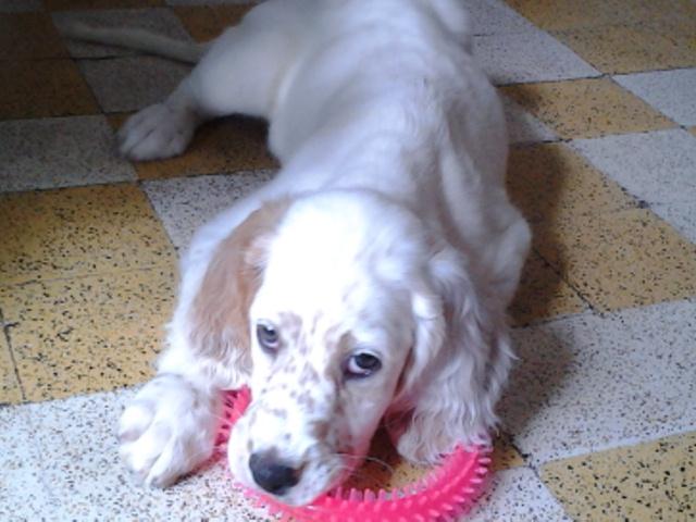 20140924_154457.jpg