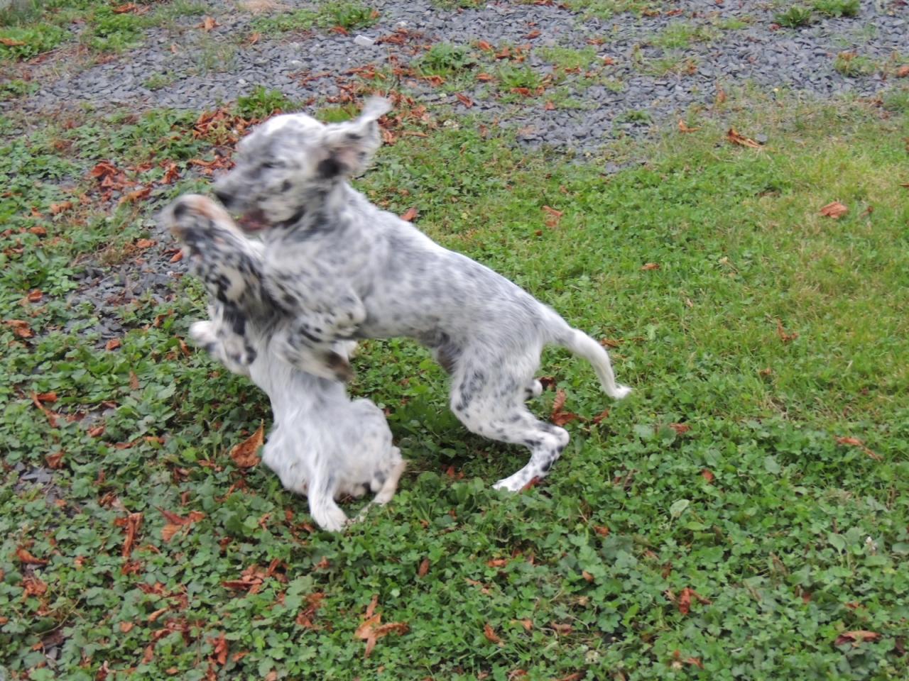 DSCN4796.JPG