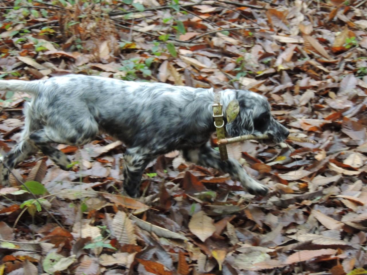DSCN4845.JPG