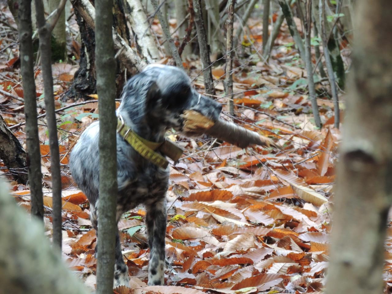 DSCN4852.JPG