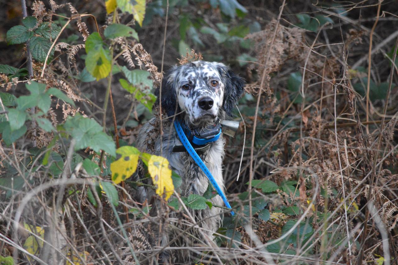 DSC_0666.JPG