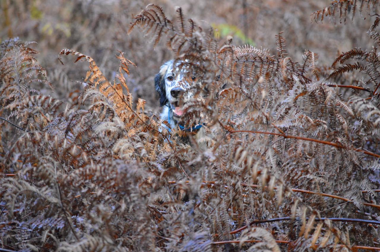 DSC_0717.JPG