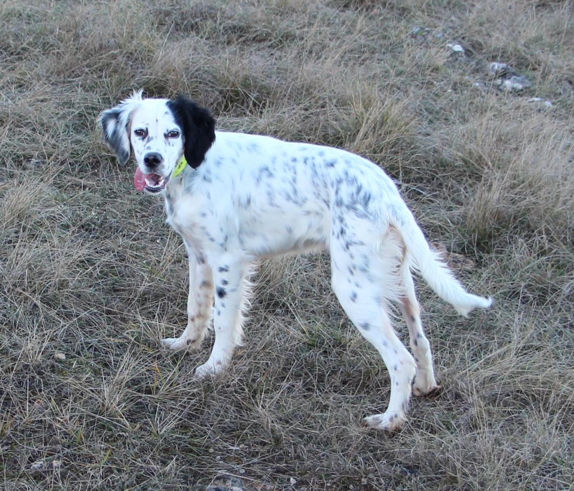 jessy 027.JPG