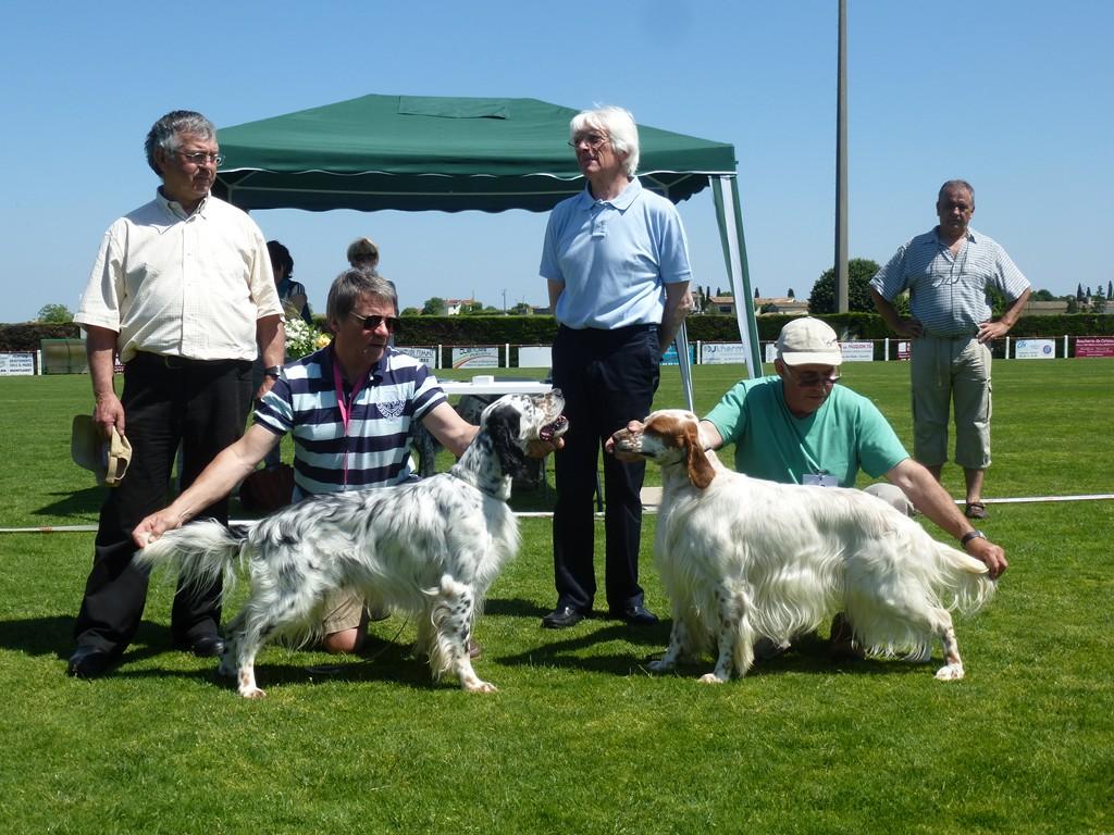 2 MEILLEURS MALES RE SAINT EMILLON 2013 (Copier).JPG