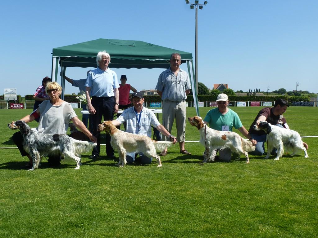 4 PREMIERES JEUNES FEMELLES RE SAINT EMILLON 2013 (Copier).JPG