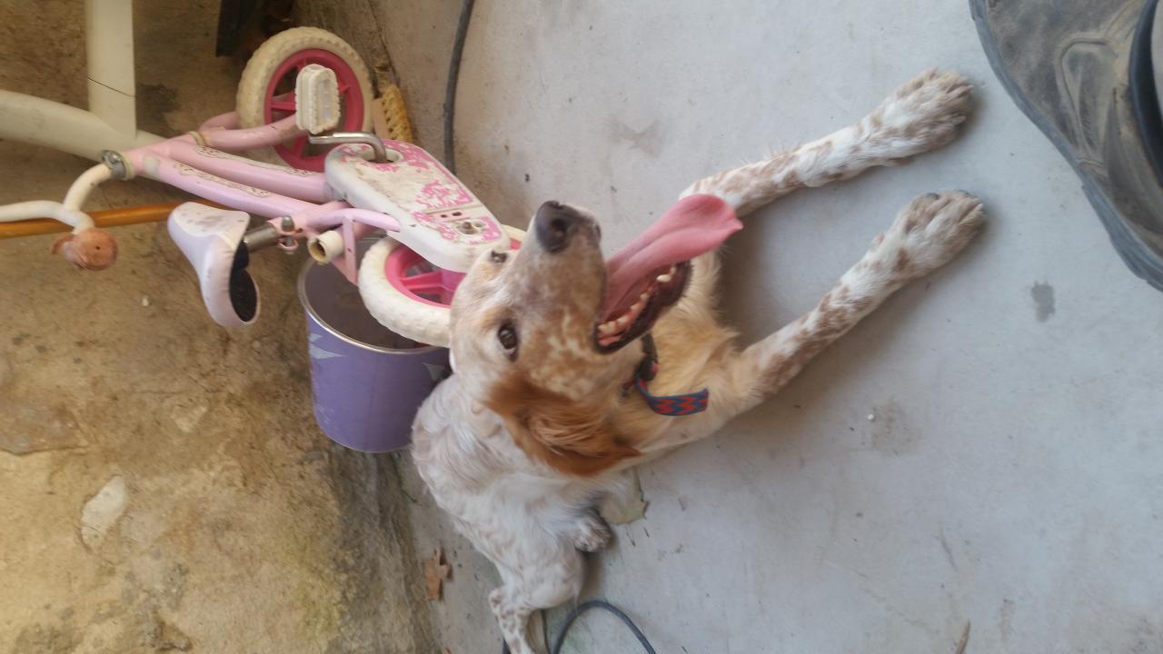 20150827_165624.jpg